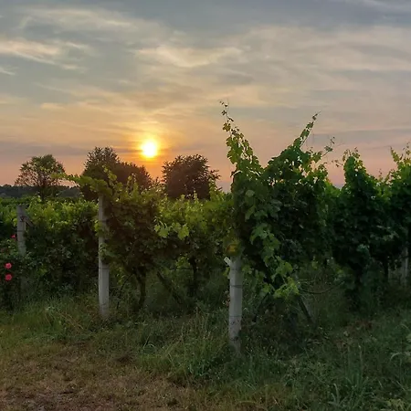Vakantieboerderij Bio Vojon Ponti sul Mincio